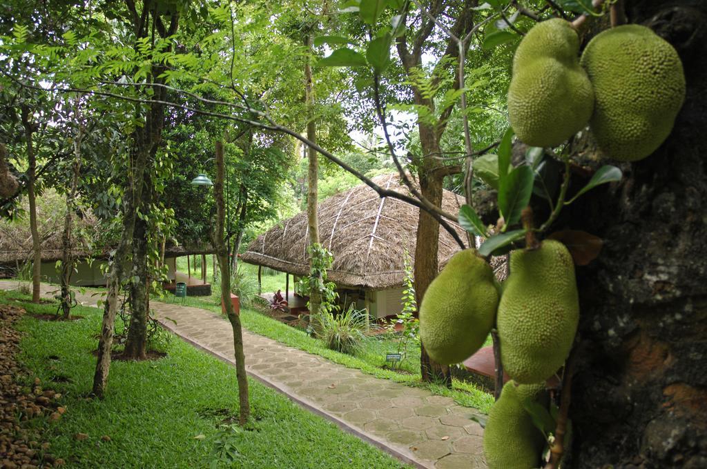 Spice Village Thekkady - A Cgh Earth Experience Eksteriør billede