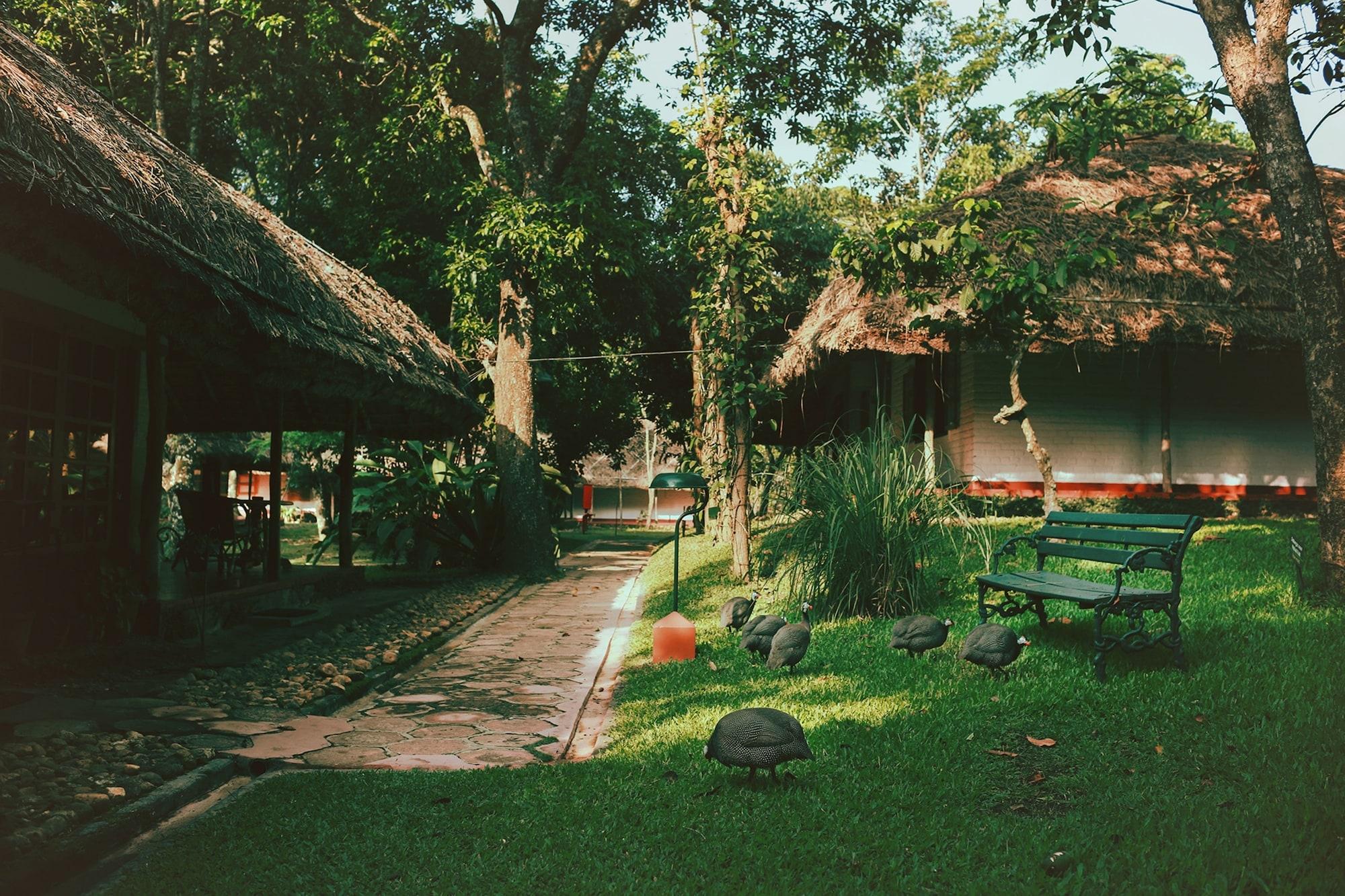Spice Village Thekkady - A Cgh Earth Experience Eksteriør billede