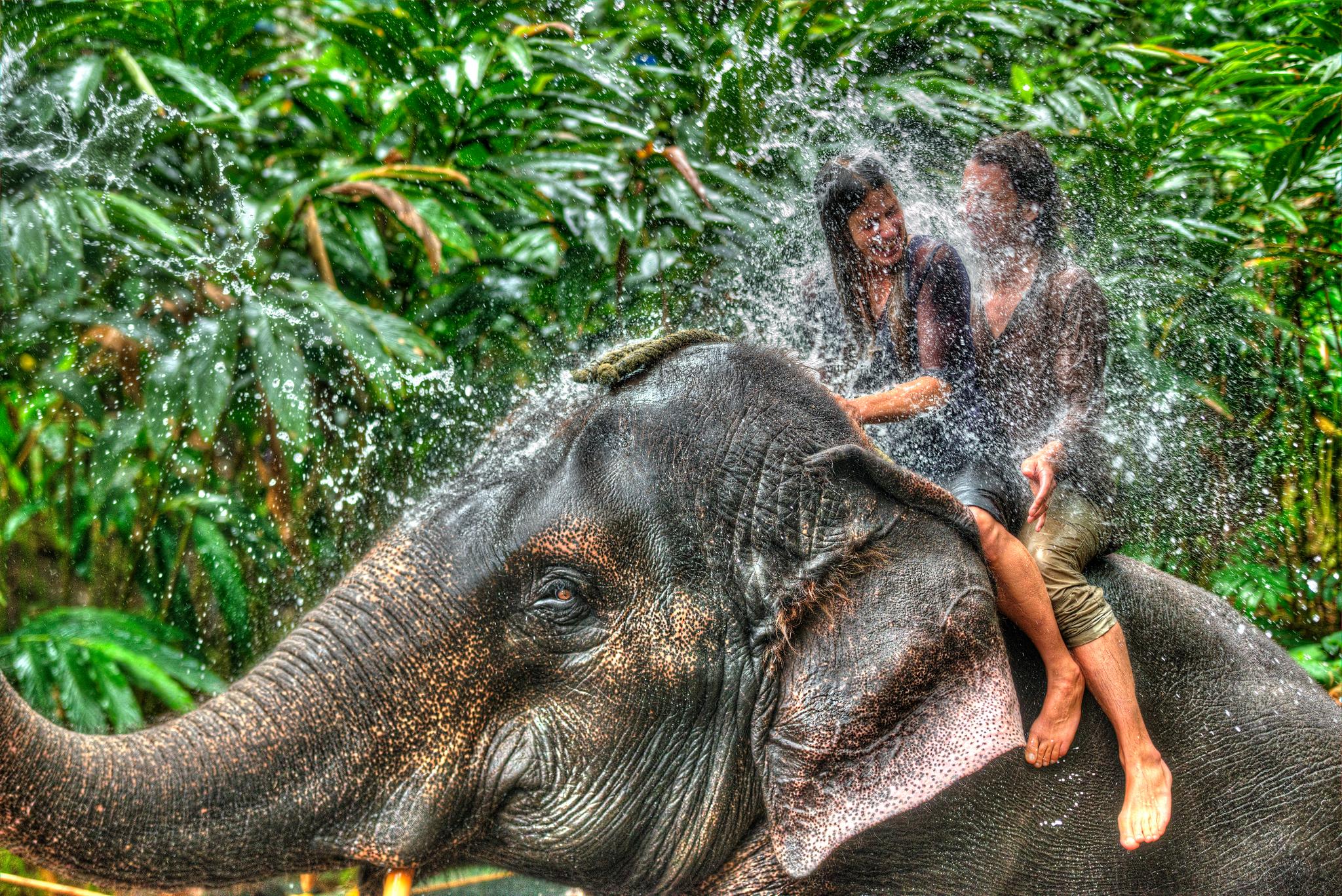 Spice Village Thekkady - A Cgh Earth Experience Eksteriør billede
